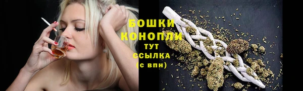 стаф Рославль
