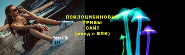 стаф Рославль